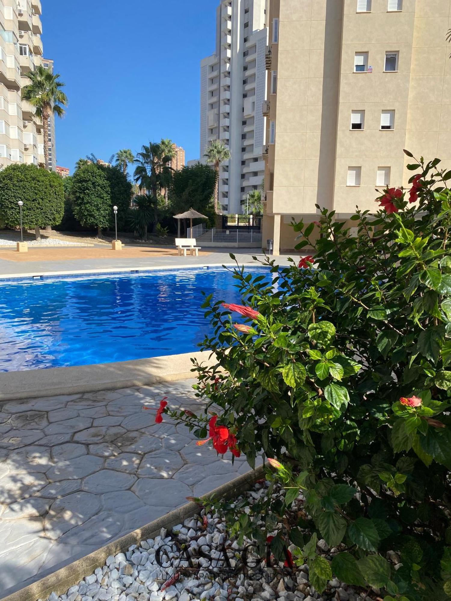 Casa Gia L Luxury Apartment بينايدورم المظهر الخارجي الصورة